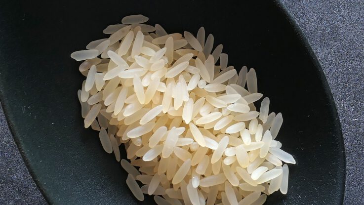 skladování uvařené rýže