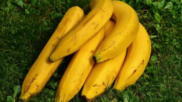 čerstvé banány
