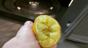 citron v mikrovlnce