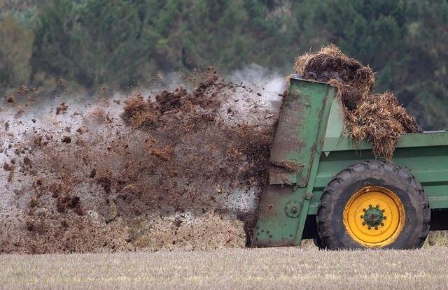 hnojivo pro ruze jake pouzit bananove slupky jsou skvelou volbou pro vyzivu Hnojivo pro růže – jaké použít. Banánové slupky jsou skvělou volbou pro výživu
