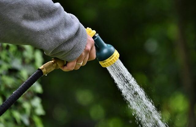 jak se zbavit vodniho kamene na sprchove ruzici efektivni metody a osobni zkusenosti Jak se zbavit vodního kamene na sprchové růžici. Efektivní metody a osobní zkušenosti