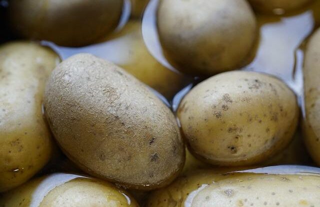 proc babicky davaly brambory pod perinu udrzovaly tam teplo a zahrivaly Proč babičky dávaly brambory pod peřinu? Udržovaly tam teplo a zahřívaly