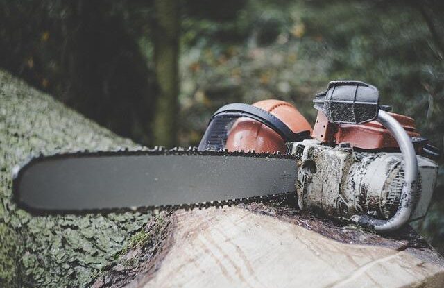 jak spravne pouzivat motorovou pilu na rezani dreva ziskejte znalosti o efektivnim krajeni Jak správně používat motorovou pilu na řezání dřeva? Získejte znalosti o efektivním krájení