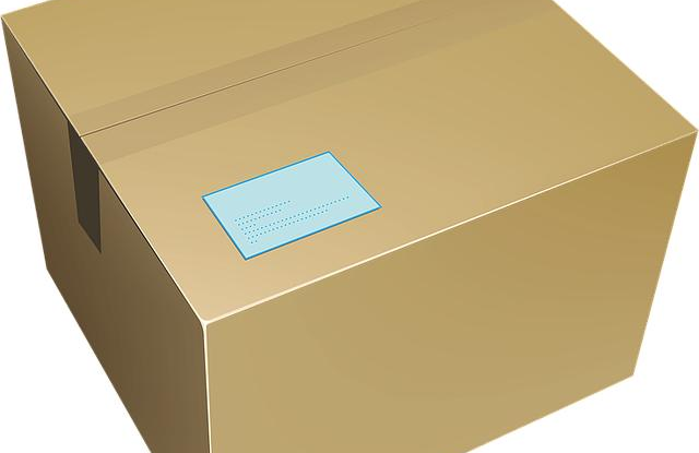 Zasévání semen – alternativy k tradičním květináčům (využití papírových obalů). Ušetříte tím materiál a podpoříte ekologii