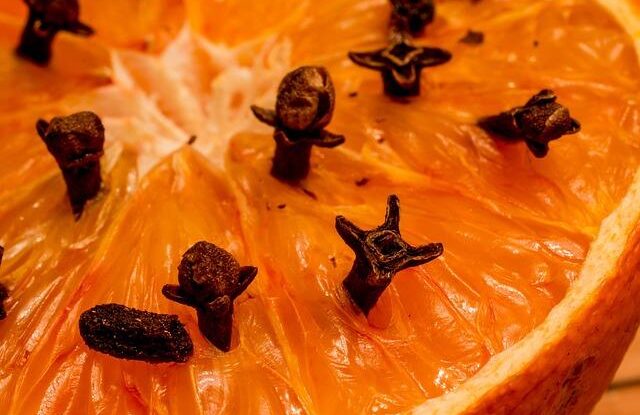 zapichnete do cibule par hrebicku a v lete vas to zbavi starosti levne a jednoduche Zapíchněte do cibule pár hřebíčků a v létě vás to zbaví starostí, levné a jednoduché