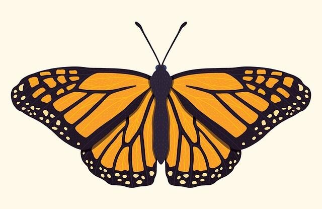 jak zabranit molum v potravinach skladujte potraviny ve vzduchotesnych sklenicich a vkladejte bobkovy list Jak zabránit molům v potravinách. Skladujte potraviny ve vzduchotěsných sklenicích a vkládejte bobkový list