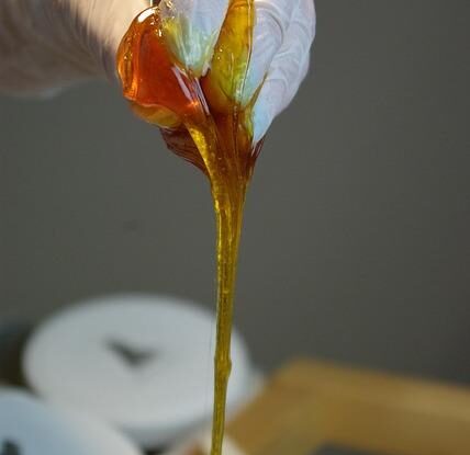 jak odstranit mech ze zahrady zdravy travnik vyzaduje spravnou peci Jak odstranit mech ze zahrady? Zdravý trávník vyžaduje správnou péči