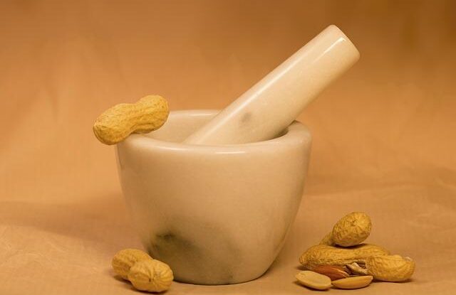 jake navnady funguji v pasti na mysi syr mezi nimi neni Jaké návnady fungují v pasti na myši. Sýr mezi nimi není