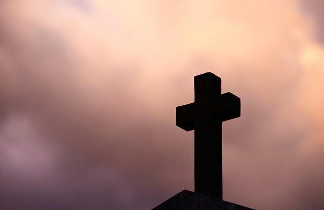 Nevítaní pavouci v bytě? Utěsněte spáry a zabraňte jejich vstupu