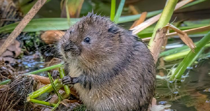 Máte slabé Wi‑Fi? Viníkem může být nenápadný přístroj v domácnosti