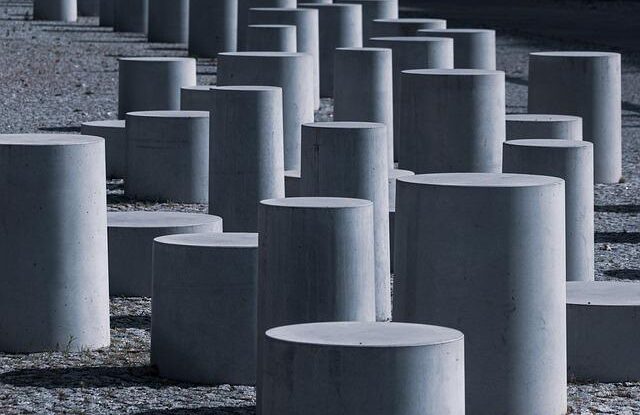 jak se zbavit hrabosu na zahrade a zahradce pouzijte rostlinu rebcik kralovsky jako prirodni barieru Jak se zbavit hrabošů na zahradě a zahrádce. Použijte rostlinu řebčík královský jako přírodní bariéru