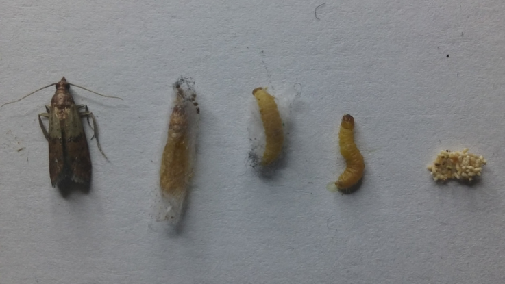 potravinovy mol potravinovy mol