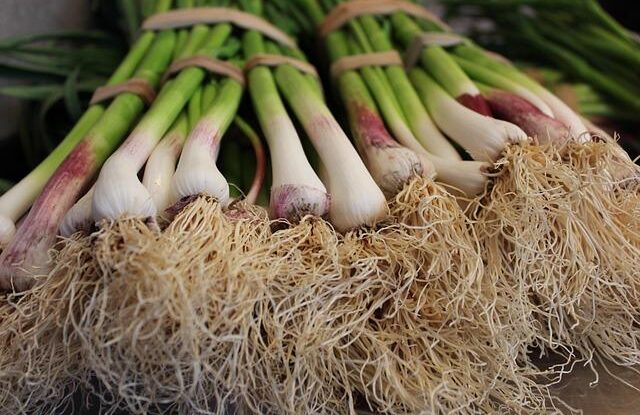 jak dosahnout dokonale zlate cibulky vyhnete se zacatecnickym chybam Jak dosáhnout dokonalé zlaté cibulky. Vyhněte se začátečnickým chybám