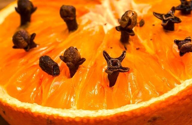 zabrante komarum vniknout do bytu pouzijte matu bazalku nebo skorici Zabraňte komárům vniknout do bytu. Použijte mátu, bazalku nebo skořici