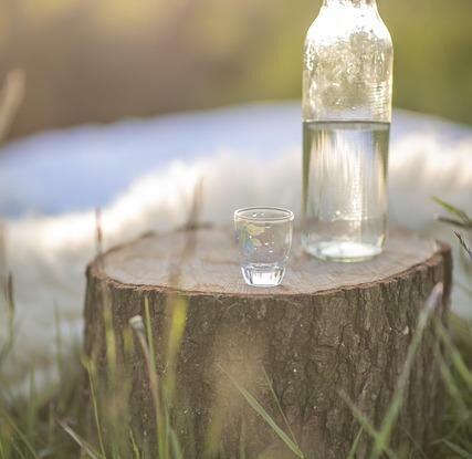 vylepseni nepovedene slivovice pouzijte overene postupy Vylepšení nepovedené slivovice. Použijte ověřené postupy