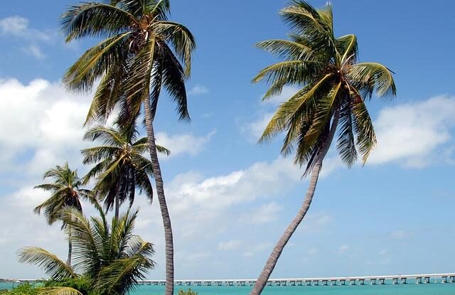 zlomeny klic v zamku si snadno vytahnete sami nevolejte zbytecne zamecnika Zlomený klíč v zámku si snadno vytáhnete sami. Nevolejte zbytečně zámečníka