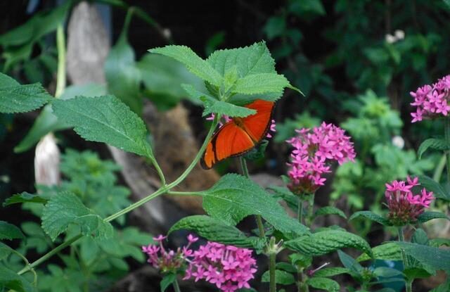 nektere pristroje do rozdvojek a prodluzovacek nepatri jejich zapojeni muze zpusobit zavady ci pozar Některé přístroje do rozdvojek a prodlužovaček nepatří. Jejich zapojení může způsobit závady či požár