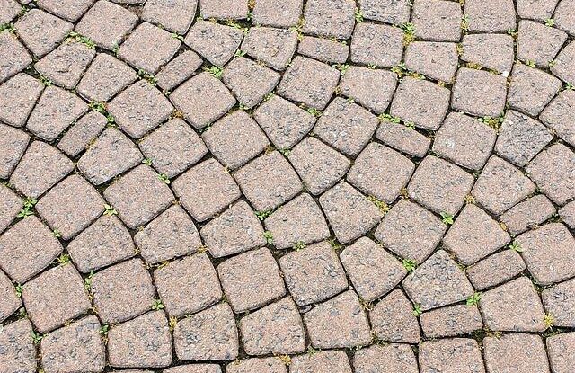 Plevel mezi dlaždicemi na dvoře a v zahradě. Odstranění a prevence pomocí soli a alternativ