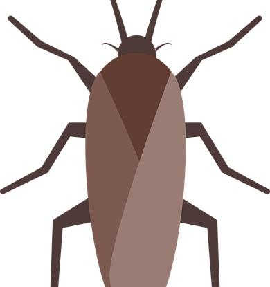 vymytit kuchynske svaby z bytu a domu navod k rychlemu a bezpecnemu odstraneni Vymýtit kuchyňské šváby z bytu a domu. Návod k rychlému a bezpečnému odstranění