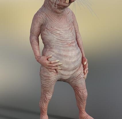 zbavte se krtka na zahradce jednou provzdy ucinne trvale reseni bez navratu Zbavte se krtka na zahrádce jednou provždy. Účinné trvalé řešení bez návratu