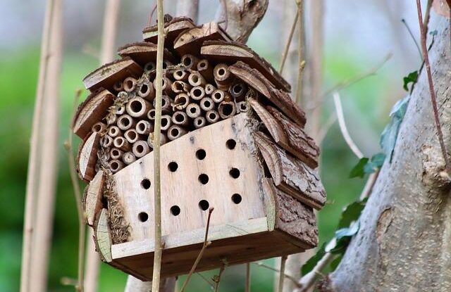 domaci repelent proti komarum a klistatum snadna priprava z prirodnich surovin Domácí repelent proti komárům a klíšťatům. Snadná příprava z přírodních surovin