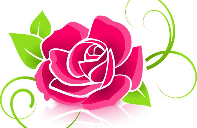 prodlouzene kveteni ruzi na zahrade pouzijte pivo a spravnou peci Prodloužené kvetení růží na zahradě. Použijte pivo a správnou péči